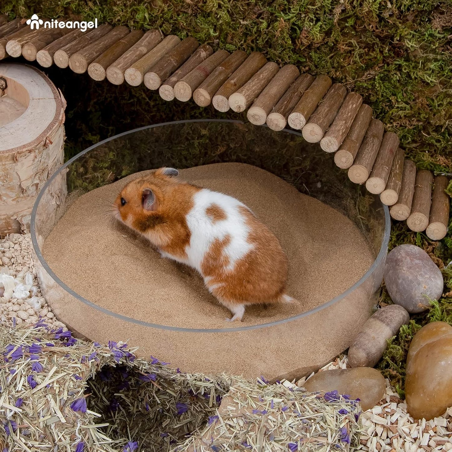 Hamster Desert Bath Sand | No-Dust Bath or Potty Litter Sand for Hamster Chinchillas Gerbil Mice Degu or Other Small Pets