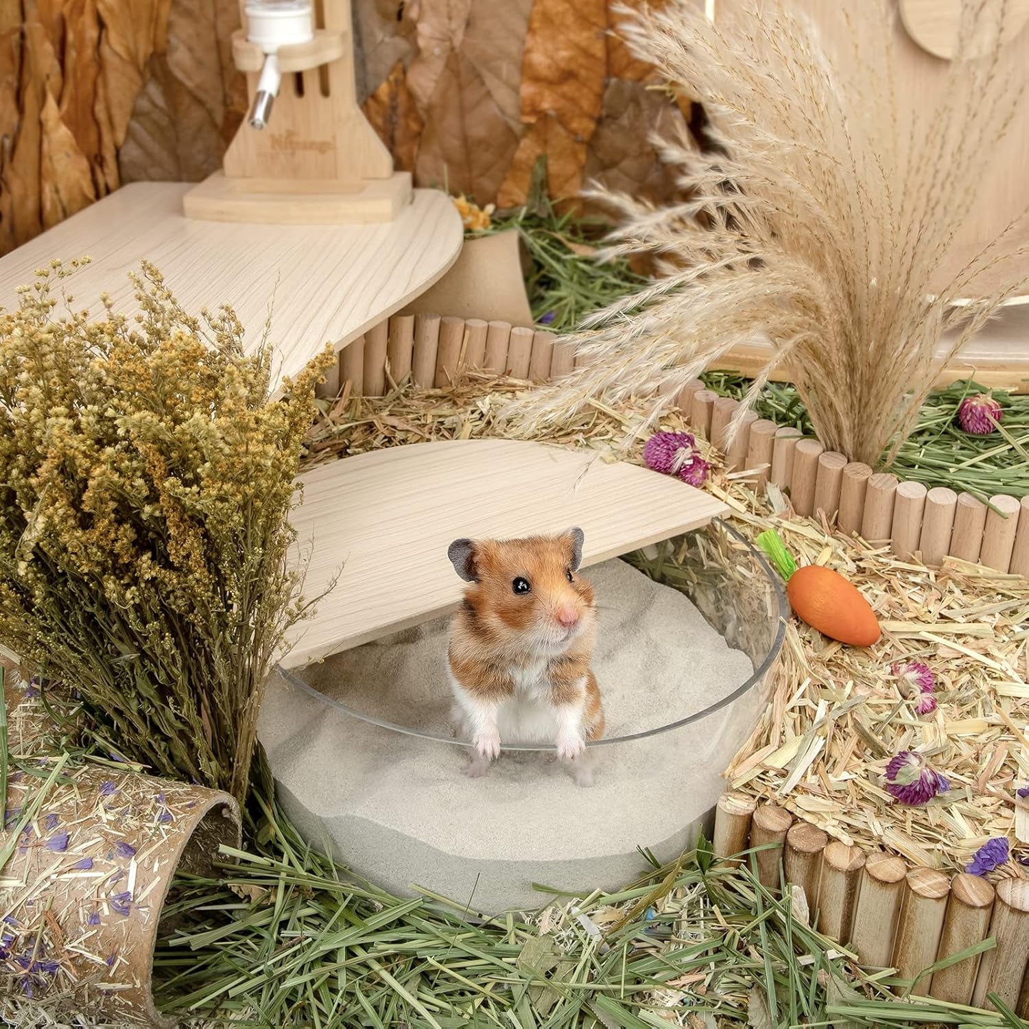 Training Litter Potty Sand - Hamster Sand Bath for Syrian Dwarf Hamsters Gerbils Mice Lemming Degus or Other Small-Sized Pets ((1.4 L X 2 - Blue Label)