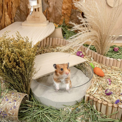 Training Litter Potty Sand - Hamster Sand Bath for Syrian Dwarf Hamsters Gerbils Mice Lemming Degus or Other Small-Sized Pets ((1.4 L X 2 - Blue Label)