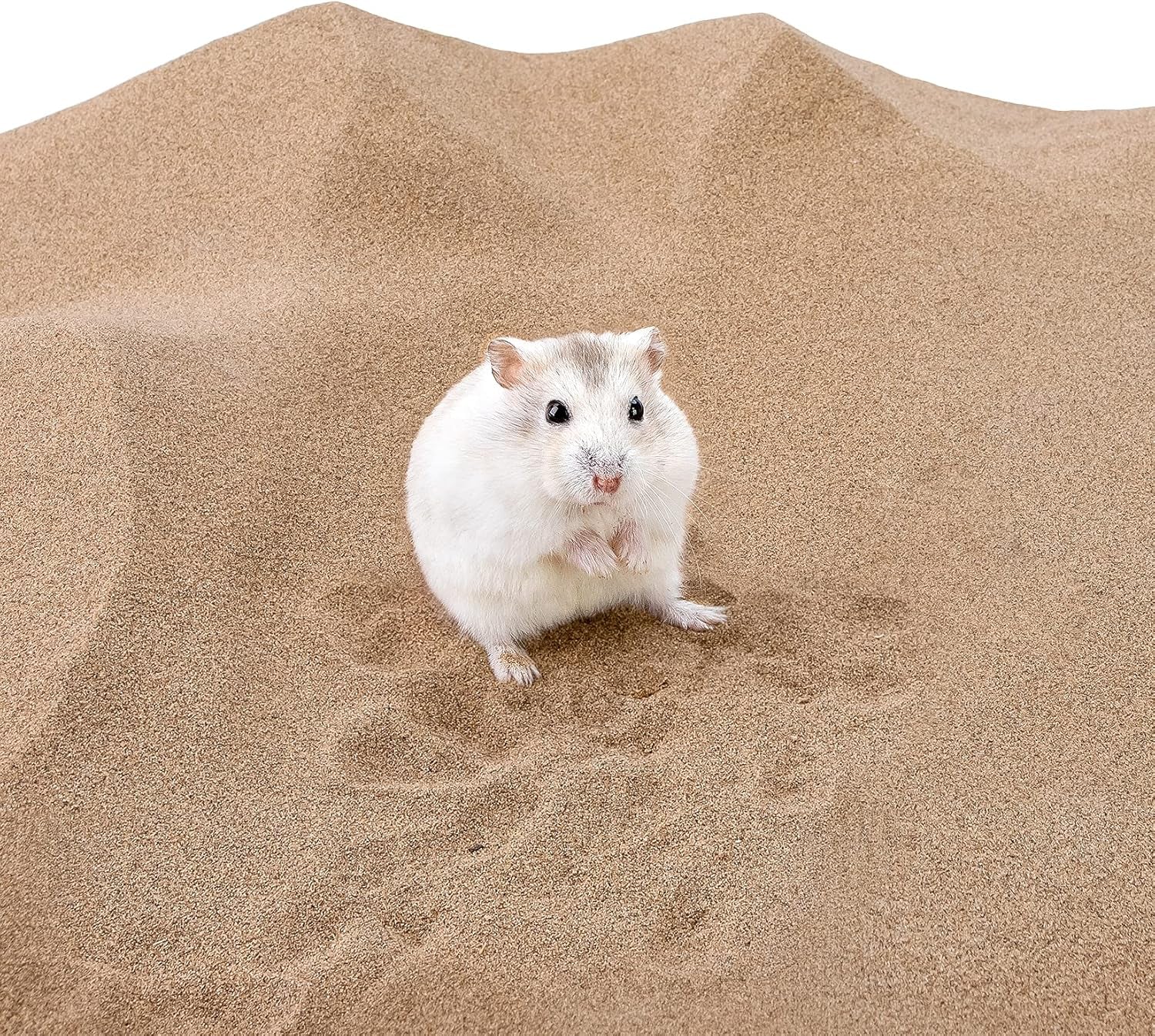 Hamster Desert Bath Sand | No-Dust Bath or Potty Litter Sand for Hamster Chinchillas Gerbil Mice Degu or Other Small Pets